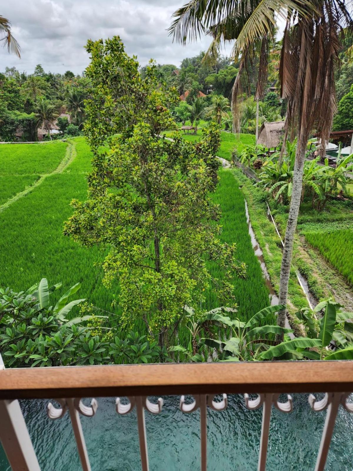 Motama Villa Ubud Exterior foto