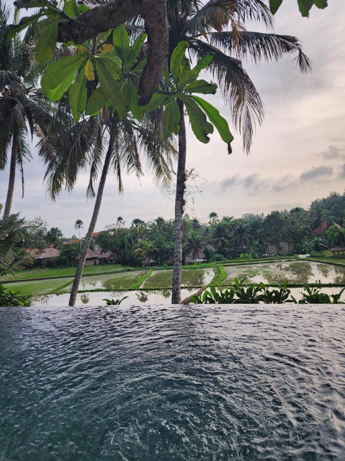 Motama Villa Ubud Exterior foto