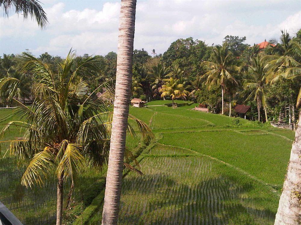 Motama Villa Ubud Exterior foto